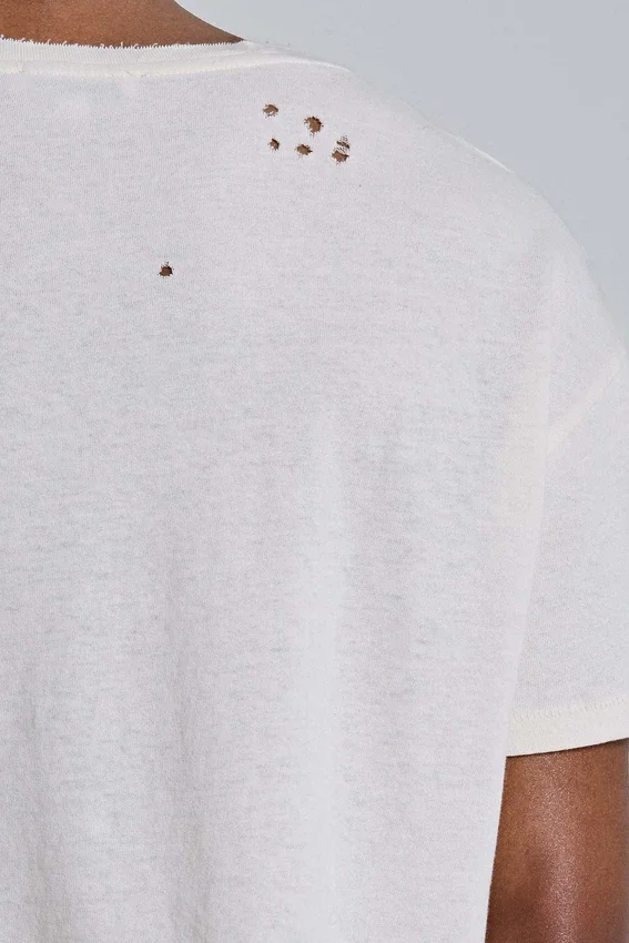 Wit Moth cropped T-shirt