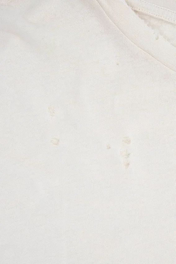 Wit Moth cropped T-shirt
